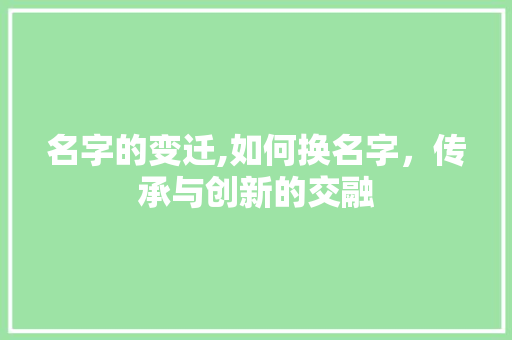 名字的变迁,如何换名字，传承与创新的交融 服务器/数据库