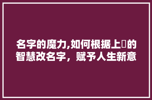 名字的魔力,如何根据上昇的智慧改名字，赋予人生新意义 服务器/数据库