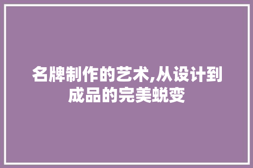 名牌制作的艺术,从设计到成品的完美蜕变 服务器/数据库