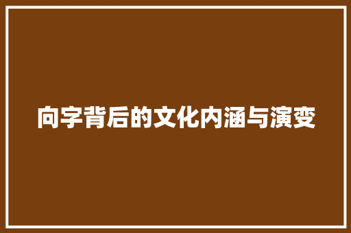 向字背后的文化内涵与演变 建站教程