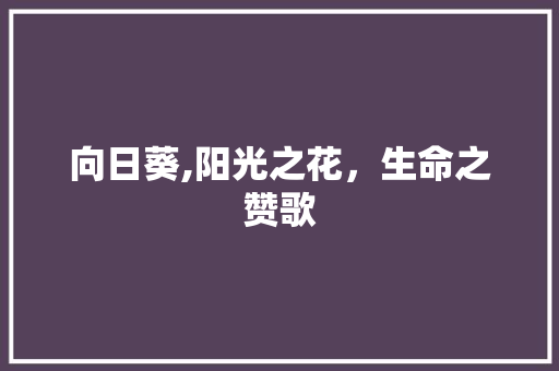 向日葵,阳光之花，生命之赞歌