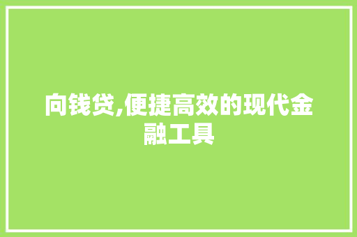 向钱贷,便捷高效的现代金融工具 友链在线