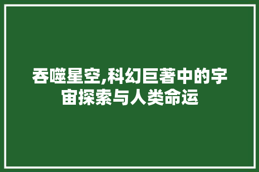 吞噬星空,科幻巨著中的宇宙探索与人类命运 Web前端