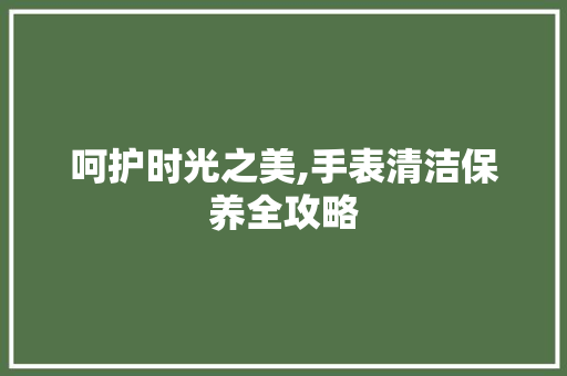 呵护时光之美,手表清洁保养全攻略
