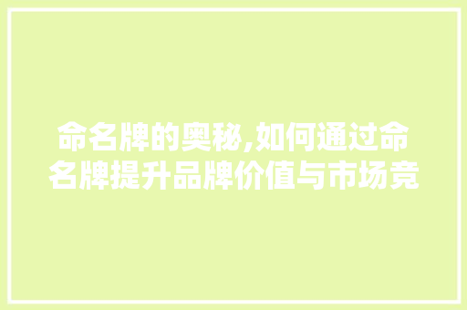 命名牌的奥秘,如何通过命名牌提升品牌价值与市场竞争力