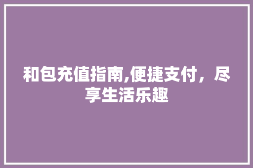 和包充值指南,便捷支付，尽享生活乐趣