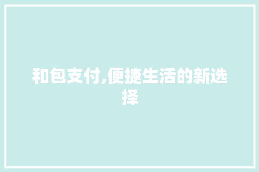 和包支付,便捷生活的新选择