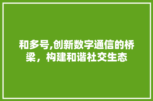 和多号,创新数字通信的桥梁，构建和谐社交生态