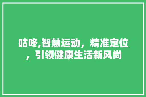 咕咚,智慧运动，精准定位，引领健康生活新风尚 WordPress教程