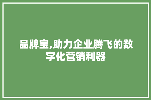 品牌宝,助力企业腾飞的数字化营销利器 Web前端