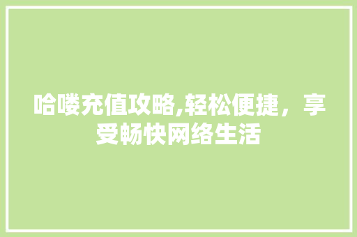哈喽充值攻略,轻松便捷，享受畅快网络生活