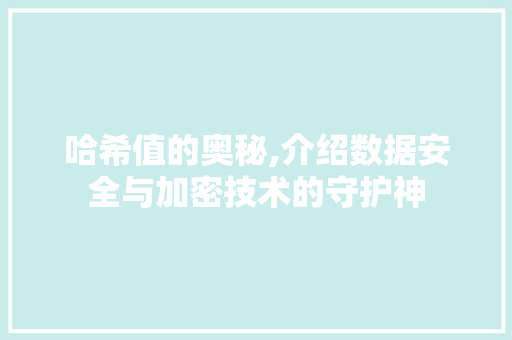 哈希值的奥秘,介绍数据安全与加密技术的守护神