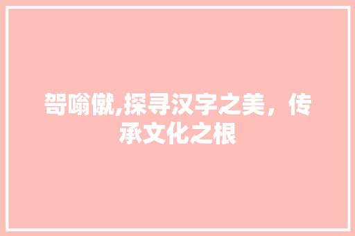 哿嗡僦,探寻汉字之美，传承文化之根 服务器/数据库