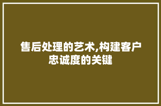 售后处理的艺术,构建客户忠诚度的关键 友链在线