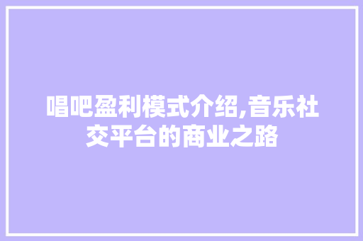 唱吧盈利模式介绍,音乐社交平台的商业之路