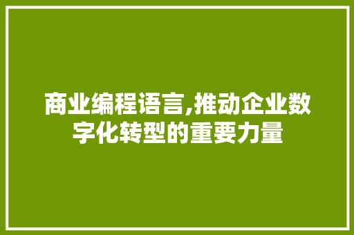 商业编程语言,推动企业数字化转型的重要力量 服务器/数据库