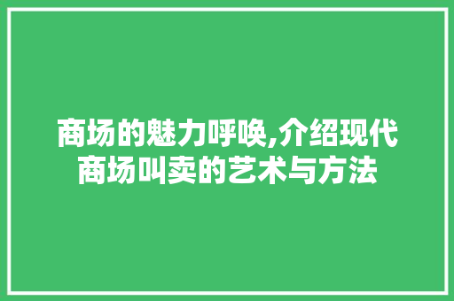 商场的魅力呼唤,介绍现代商场叫卖的艺术与方法