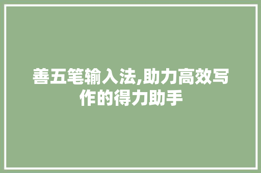 善五笔输入法,助力高效写作的得力助手 服务器/数据库