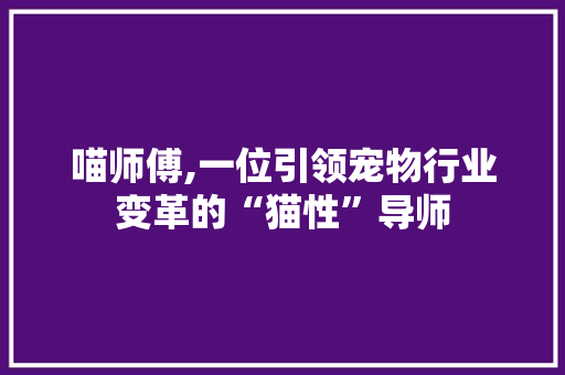 喵师傅,一位引领宠物行业变革的“猫性”导师 SEO教程