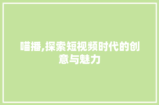 喵播,探索短视频时代的创意与魅力 WordPress教程