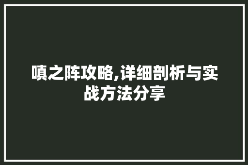 嗔之阵攻略,详细剖析与实战方法分享