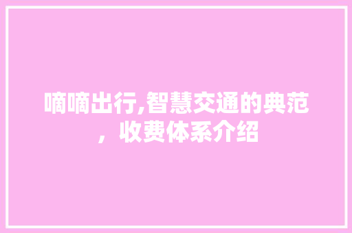 嘀嘀出行,智慧交通的典范，收费体系介绍