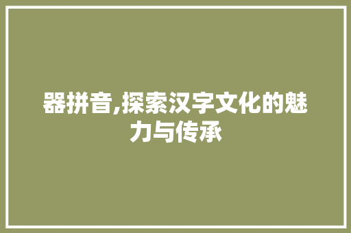 器拼音,探索汉字文化的魅力与传承