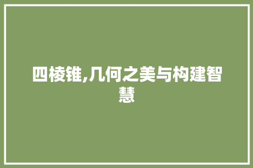 四棱锥,几何之美与构建智慧