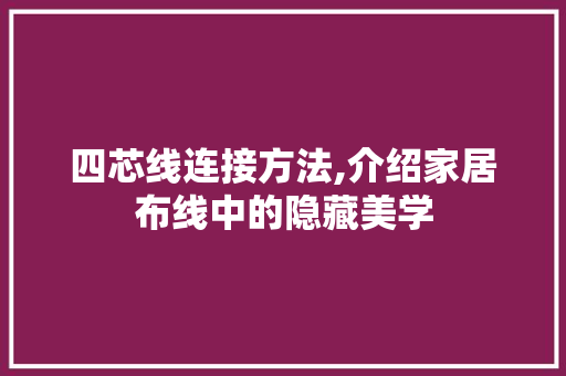 四芯线连接方法,介绍家居布线中的隐藏美学 SEO教程