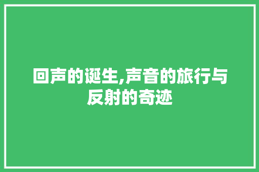 回声的诞生,声音的旅行与反射的奇迹 服务器/数据库