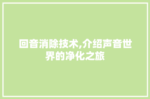 回音消除技术,介绍声音世界的净化之旅 SEO教程