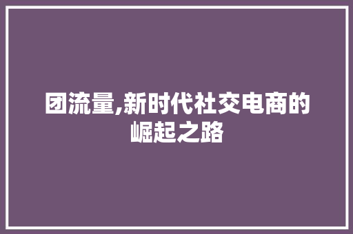 团流量,新时代社交电商的崛起之路 建站教程