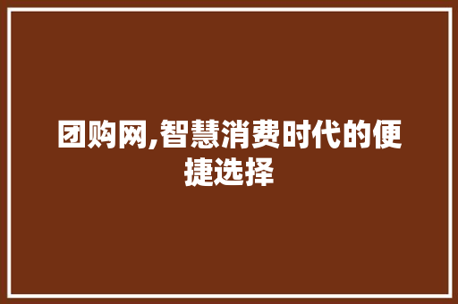 团购网,智慧消费时代的便捷选择 SEO教程