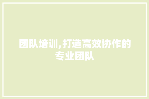 团队培训,打造高效协作的专业团队 建站教程