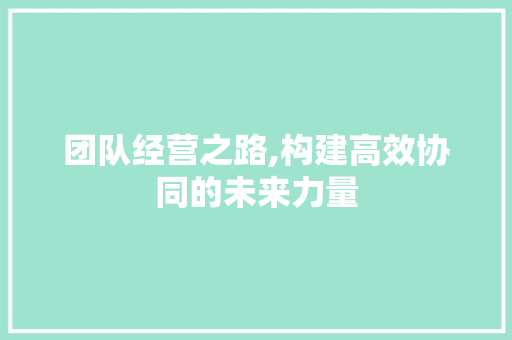 团队经营之路,构建高效协同的未来力量