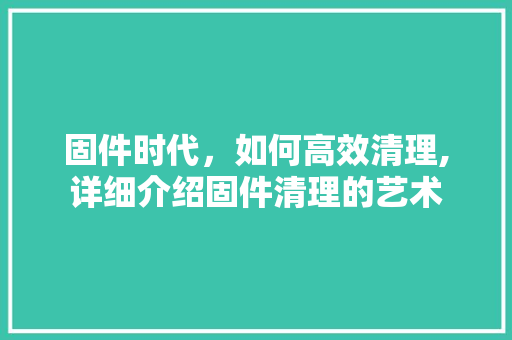 固件时代，如何高效清理,详细介绍固件清理的艺术