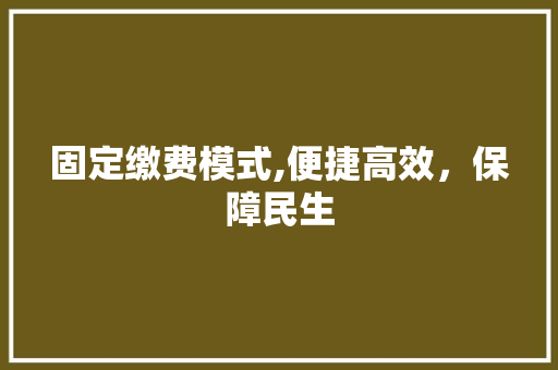 固定缴费模式,便捷高效，保障民生