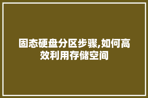 固态硬盘分区步骤,如何高效利用存储空间