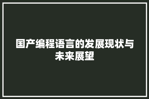 国产编程语言的发展现状与未来展望 SEO教程