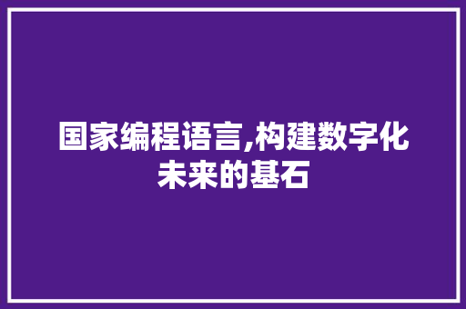 国家编程语言,构建数字化未来的基石