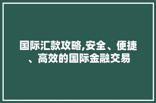 国际汇款攻略,安全、便捷、高效的国际金融交易