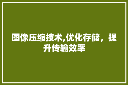 图像压缩技术,优化存储，提升传输效率