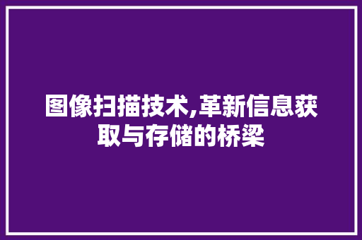 图像扫描技术,革新信息获取与存储的桥梁 建站教程