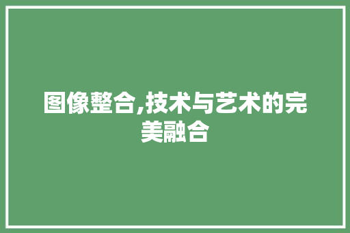 图像整合,技术与艺术的完美融合 建站教程