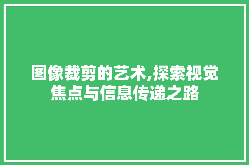 图像裁剪的艺术,探索视觉焦点与信息传递之路