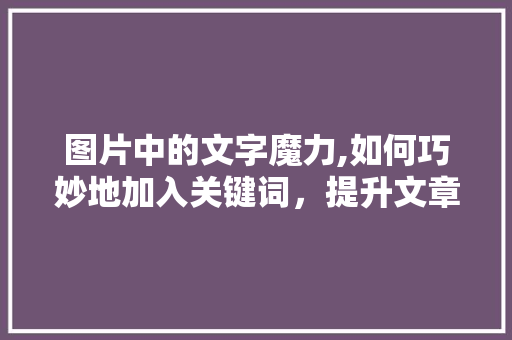 图片中的文字魔力,如何巧妙地加入关键词，提升文章吸引力 WordPress教程