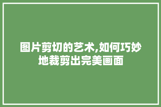 图片剪切的艺术,如何巧妙地裁剪出完美画面