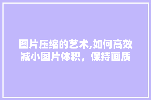图片压缩的艺术,如何高效减小图片体积，保持画质