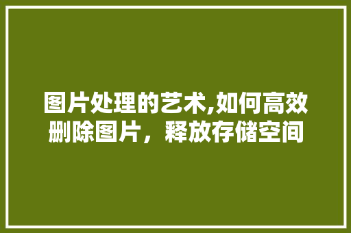 图片处理的艺术,如何高效删除图片，释放存储空间 SEO教程