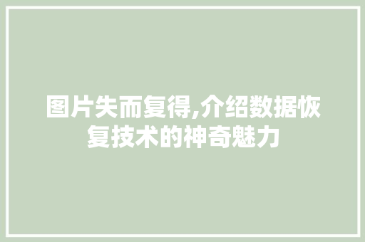 图片失而复得,介绍数据恢复技术的神奇魅力
